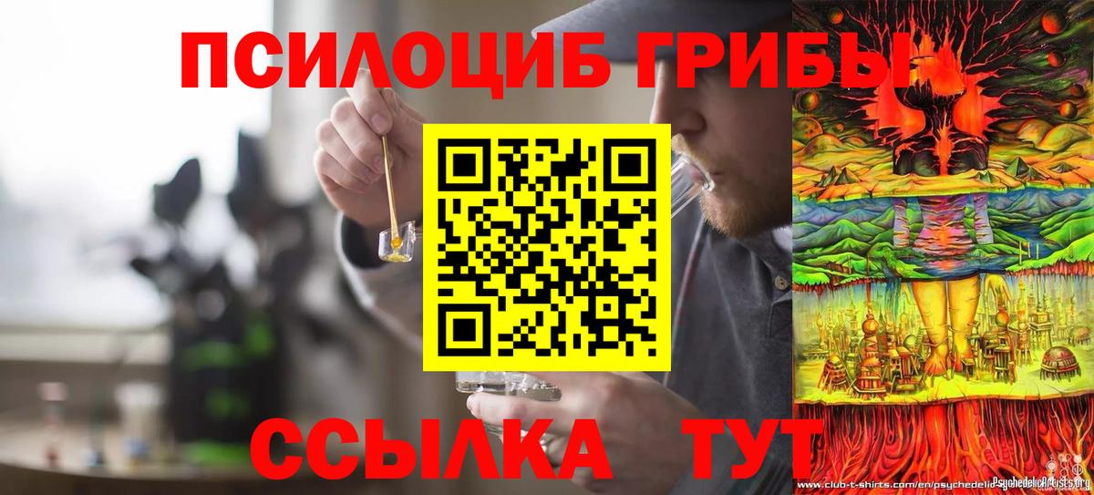 Ханты-Мансийск  Псилоцибиновые грибы мицелий  Вход с VPN  Псилоцибиновые грибы Psilocybine cubensis 